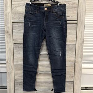 Democracy Blue Skinny Jeans with Stretchy Fit and Minimal Distressing